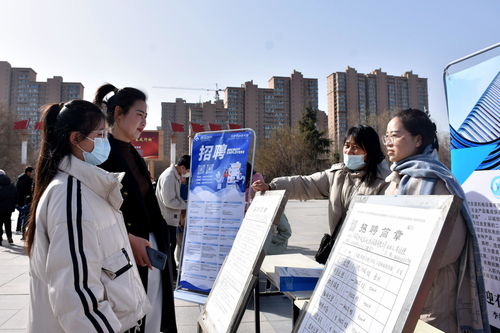 河北清苑 春風(fēng)行動 架起招聘求職 連心橋