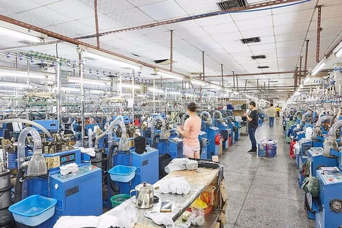 襪子的誕生 揭開泰昂運動襪生產(chǎn)的神秘面紗