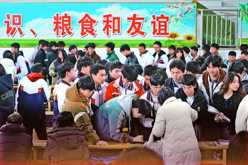 達州市2024年高職單招宣傳現場咨詢活動圓滿舉行