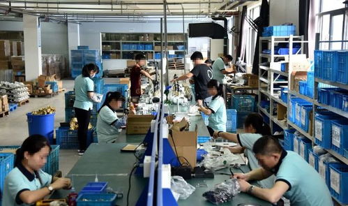 掙扎在流水線工廠的中職生